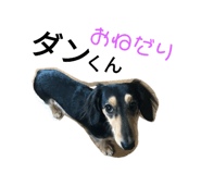 170466086