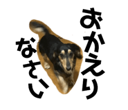 170466089