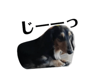 170466090