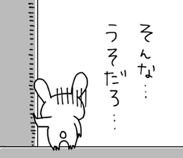 17049375