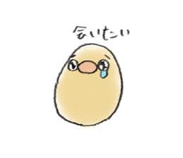 17056189
