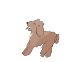 17065388