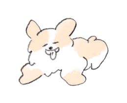 17065391