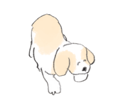 17065393