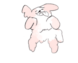 17065396