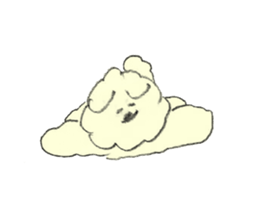 17065397