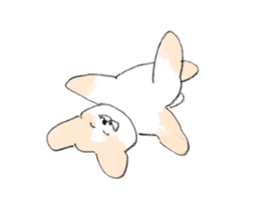 17065401