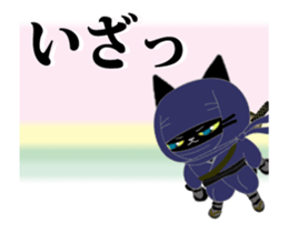 17065528