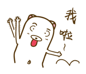 17065685
