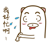 17065696