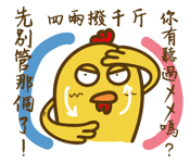 17065705