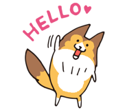 17065858