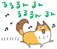 17065859