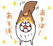 17065860