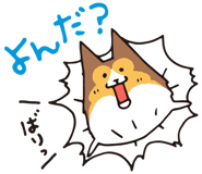 17065861
