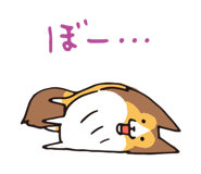 17065862