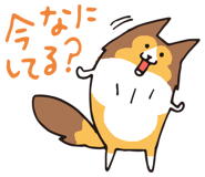 17065865