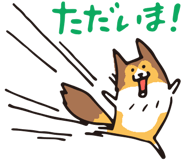 17065869