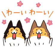 17065871