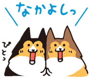17065872