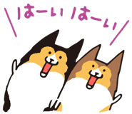 17065873