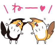 17065874
