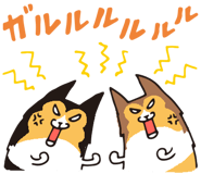 17065875