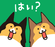 17065876