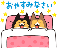 17065877