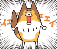 17065881