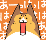 17065883