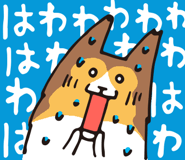 17065884