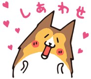 17065888