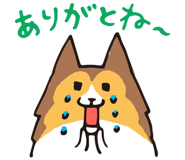 17065889