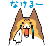 17065890
