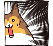 17065891