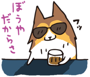 17065892