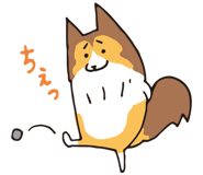 17065893