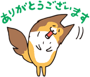 17065894
