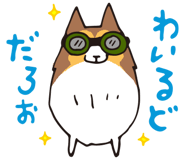 17065897