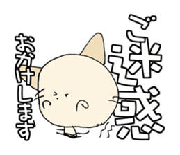 17066907