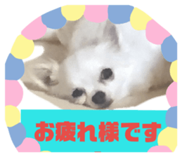 170674982