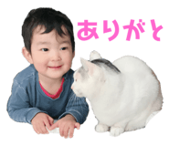 170675325
