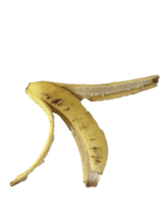 170775966