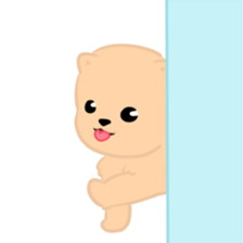 170782205
