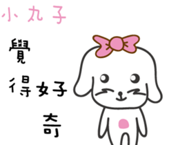 170800006