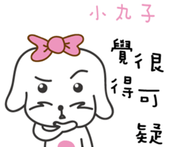 170800016