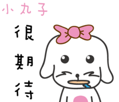 170800019