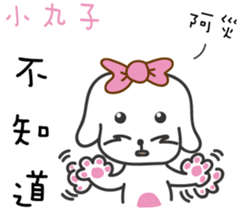 170800037