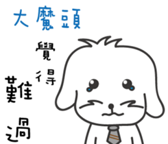 170800687